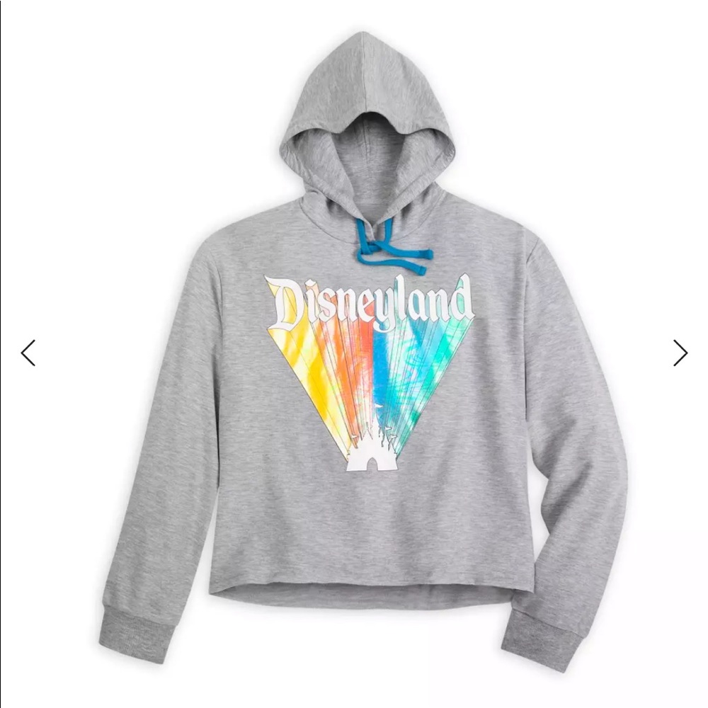 Disneyland pullover hoodie (M)